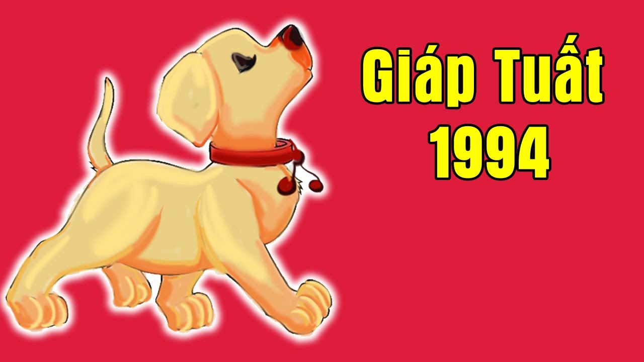 Con trai tuổi Tuất 1994 hợp với tuổi nào nhất (Top 3 con giáp may mắn)