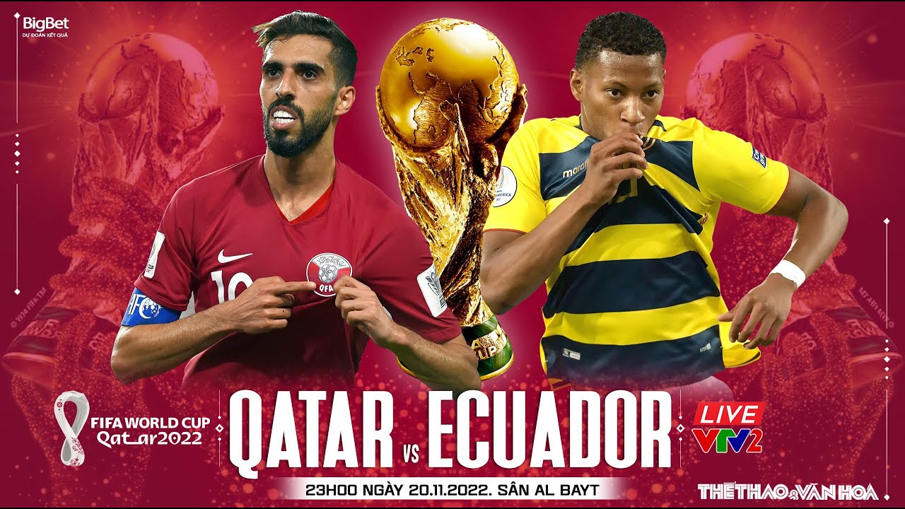 Soi kèo Qatar vs Ecuador chuẩn nhất, không nên bỏ lỡ