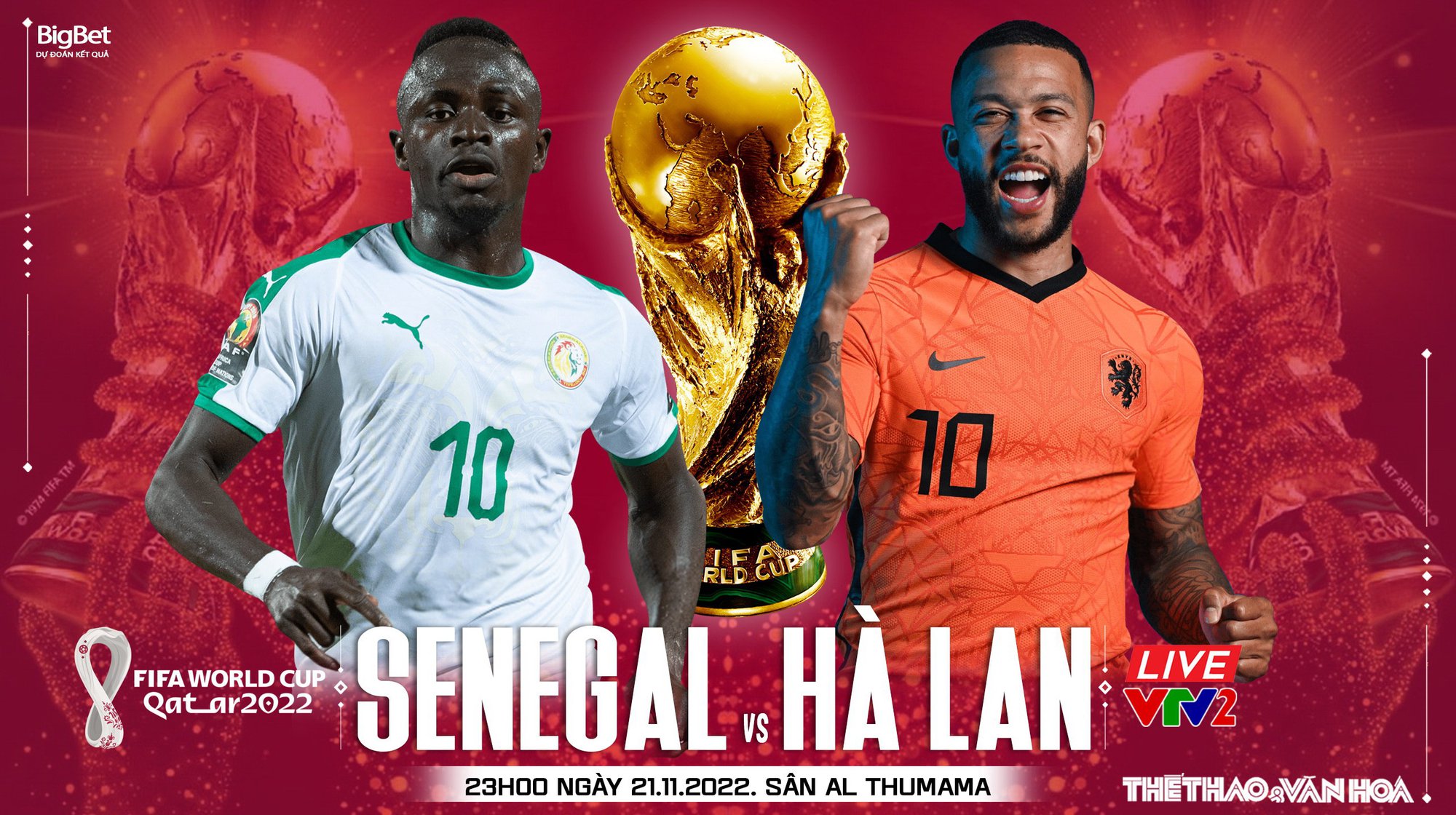 Trực tiếp kèo Hà Lan vs Senegal: Cập nhật nhanh nhất, chính xác nhất!