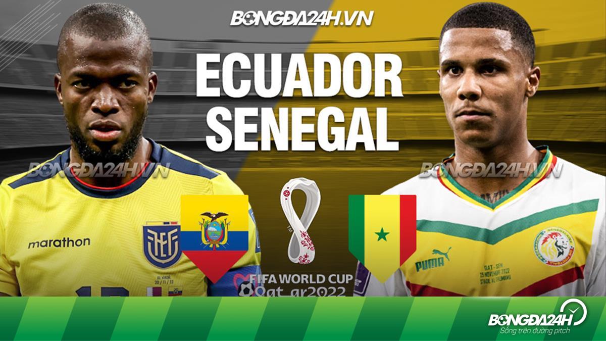 Ecuador vs Senegal soi kèo: Nhận định kèo chuẩn từ chuyên gia!